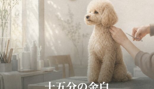 十五分の余白