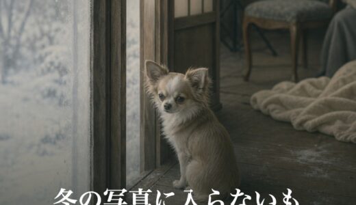 冬の写真に入らないもの