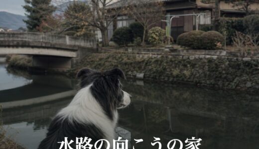 水路の向こうの家