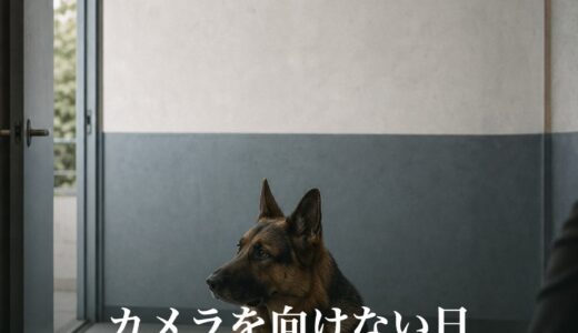 カメラを向けない日